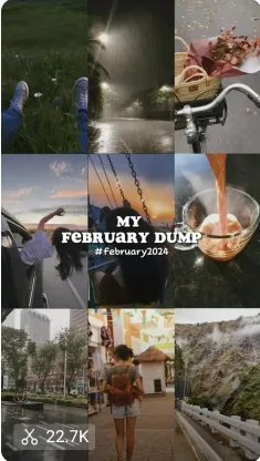 February Dump CapCut Template