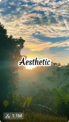 Aesthetic CapCut Template